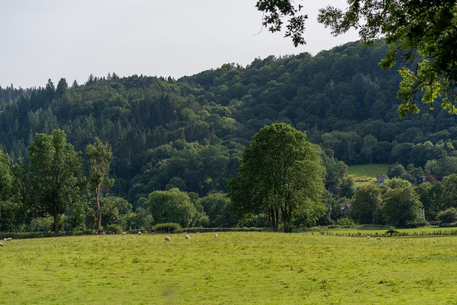Glanrhyd Cottage Betws-y-Coed Exterior foto
